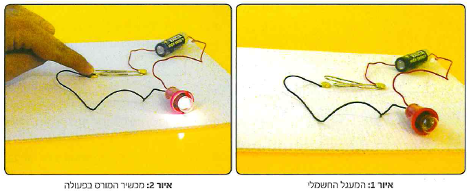 (בספר שני איורים, היעזר במנחה)